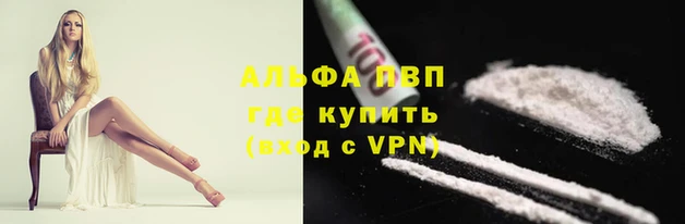 гидра Алексин
