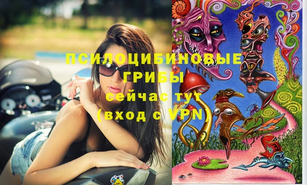 гидра Алексин