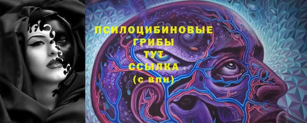 гидра Алексин