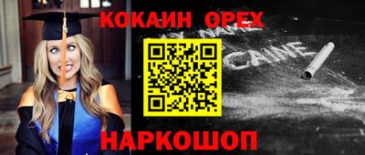 стафф Кандалакша