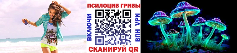 Псилоцибиновые грибы GOLDEN TEACHER  hydra ссылки  Люберцы  купить наркотики сайты 