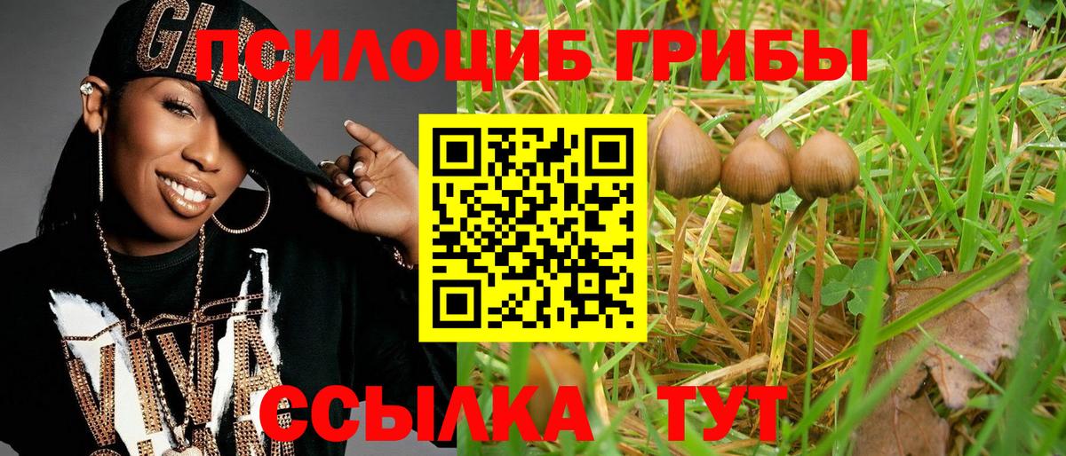 Псилоцибиновые грибы мицелий  Вход с VPN  Люберцы 